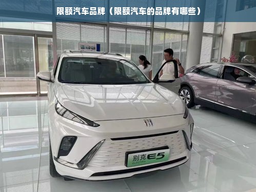 限额汽车品牌（限额汽车的品牌有哪些）
