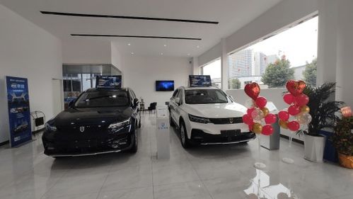 四川汽车品牌（四川有哪些汽车品牌）