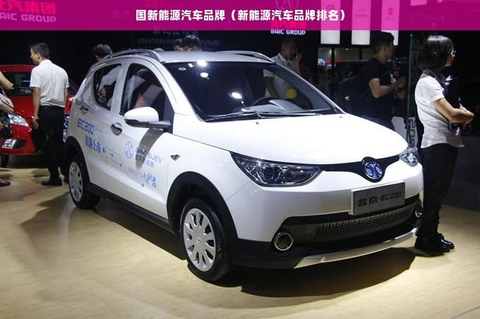 国新能源汽车品牌（新能源汽车品牌排名）