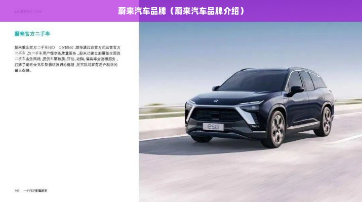 蔚来汽车品牌（蔚来汽车品牌介绍）