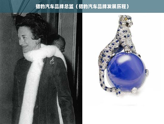 猎豹汽车品牌总监（猎豹汽车品牌发展历程）