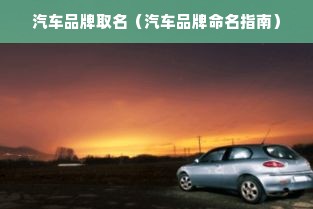 汽车品牌取名（汽车品牌命名指南）