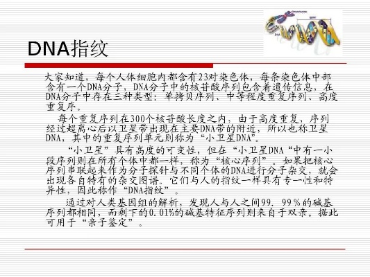 汽车品牌Dnappt