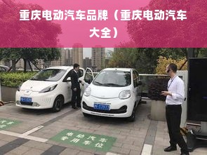 重庆电动汽车品牌（重庆电动汽车大全）
