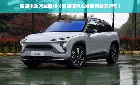 智能电动汽车品牌（新能源汽车发展现状及趋势）