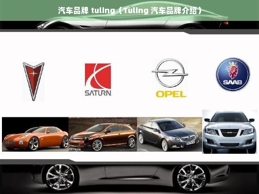 汽车品牌 tuling（Tuling 汽车品牌介绍）
