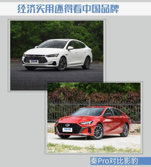 豹子汽车品牌（豹子汽车的详细介绍）