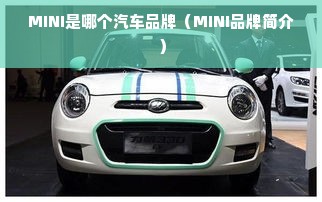 MINI是哪个汽车品牌（MINI品牌简介）