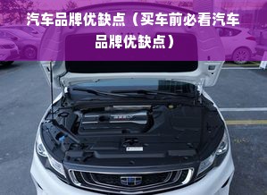 汽车品牌优缺点（买车前必看汽车品牌优缺点）