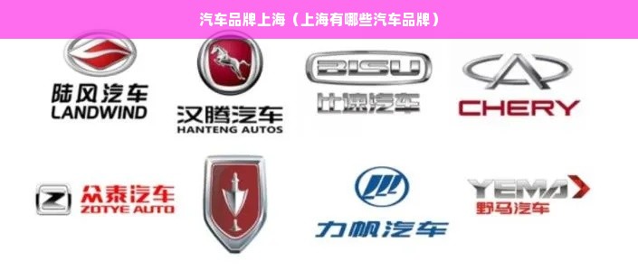 汽车品牌上海（上海有哪些汽车品牌）