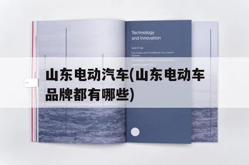 山东省电动汽车品牌（山东省电动汽车发展现状）