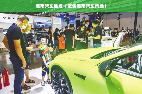 海南汽车品牌（聚焦海南汽车市场）