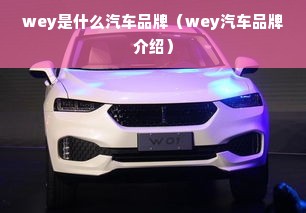 wey是什么汽车品牌（wey汽车品牌介绍）