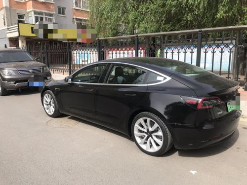 新能源汽车品牌特斯拉（特斯拉汽车最新信息汇总）