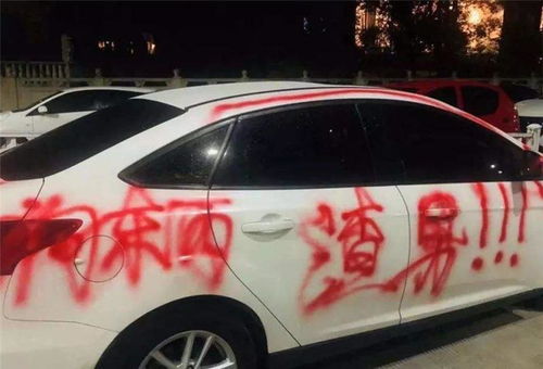 女孩认汽车品牌 女生认识的汽车品牌