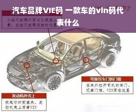 汽车品牌VIE码 一款车的vin码代表什么