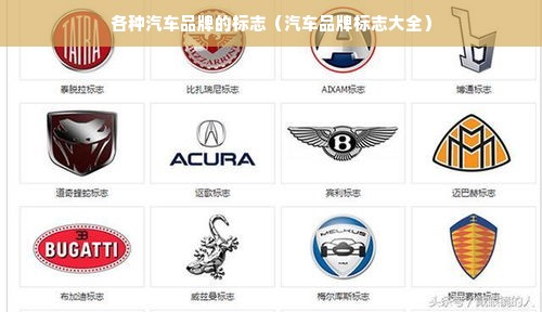各种汽车品牌的标志（汽车品牌标志大全）