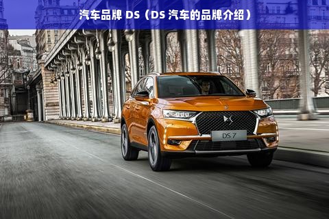 汽车品牌 DS（DS 汽车的品牌介绍）