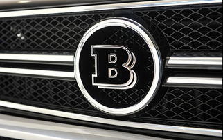 b标志汽车品牌（介绍b标志汽车品牌）
