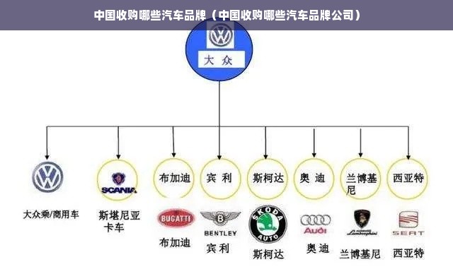 中国收购哪些汽车品牌（中国收购哪些汽车品牌公司）