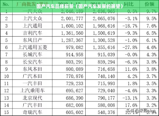 国产汽车品牌前景（国产汽车发展的展望）