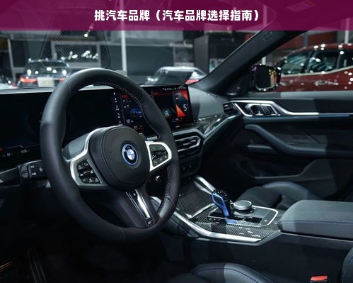 挑汽车品牌（汽车品牌选择指南）