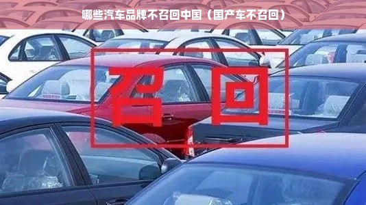哪些汽车品牌不召回中国（国产车不召回）