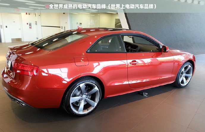 全世界成熟的电动汽车品牌（世界上电动汽车品牌）