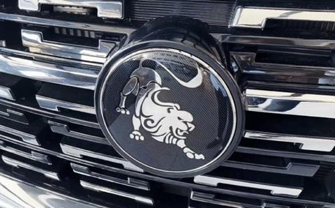 狮子面汽车品牌 狮子牌子的汽车标志是什么车,多少钱