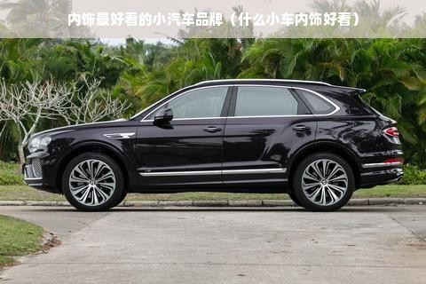 内饰最好看的小汽车品牌（什么小车内饰好看）
