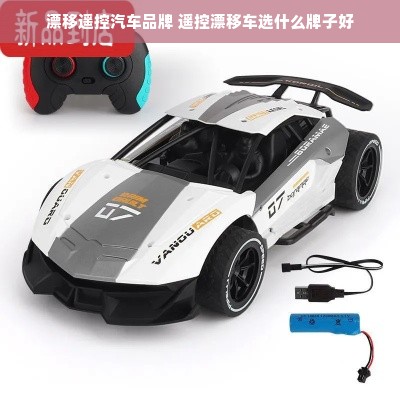漂移遥控汽车品牌 遥控漂移车选什么牌子好