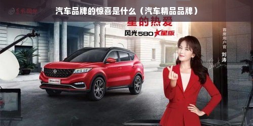 汽车品牌的惊喜是什么（汽车精品品牌）