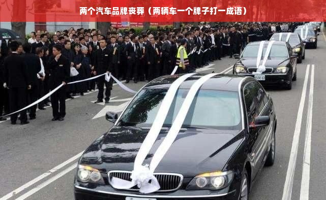 两个汽车品牌丧葬（两辆车一个牌子打一成语）