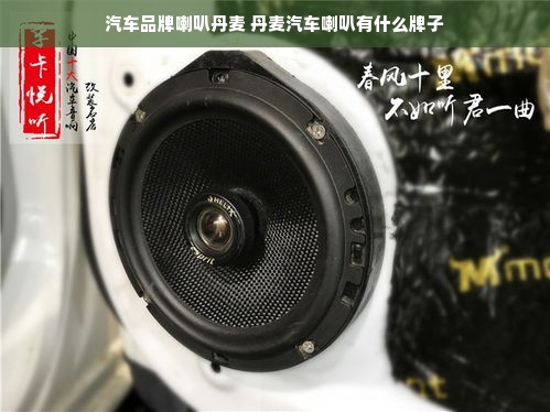 汽车品牌喇叭丹麦 丹麦汽车喇叭有什么牌子