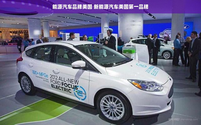 能源汽车品牌美国 新能源汽车美国第一品牌