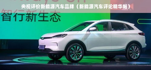 央视评价新能源汽车品牌（新能源汽车评论精华帖）
