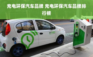 充电环保汽车品牌 充电环保汽车品牌排行榜