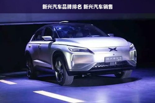 新兴汽车品牌排名 新兴汽车销售