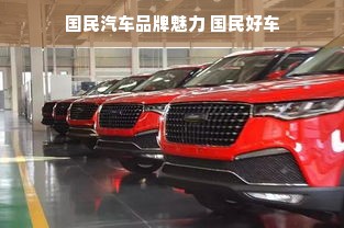 国民汽车品牌魅力 国民好车