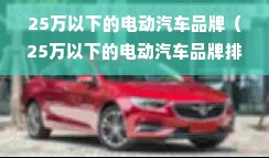 25万以下的电动汽车品牌（25万以下的电动汽车品牌排行榜）