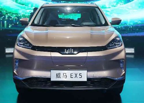 25万以下的电动汽车品牌（25万以下的电动汽车品牌排行榜）