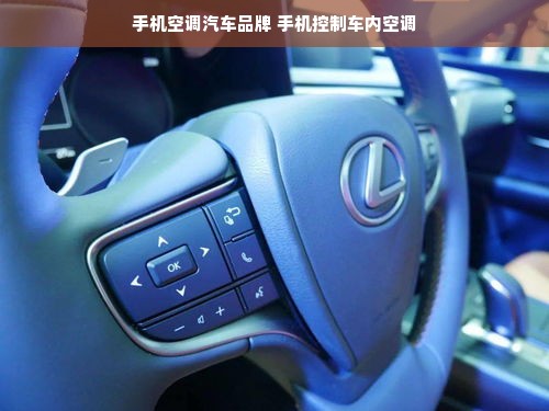 手机空调汽车品牌 手机控制车内空调