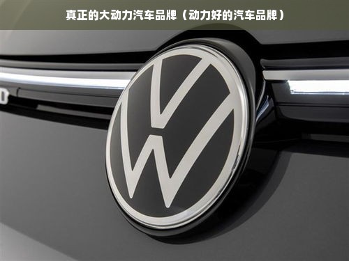 真正的大动力汽车品牌（动力好的汽车品牌）