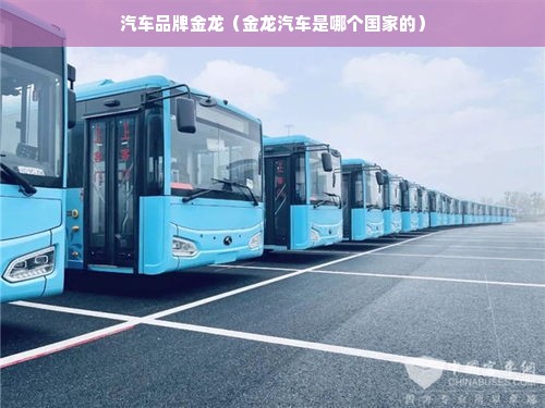 汽车品牌金龙（金龙汽车是哪个国家的）