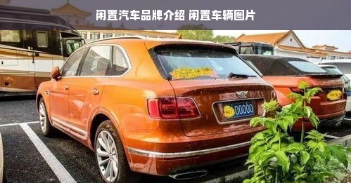 闲置汽车品牌介绍 闲置车辆图片