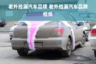 老外捡漏汽车品牌 老外捡漏汽车品牌视频