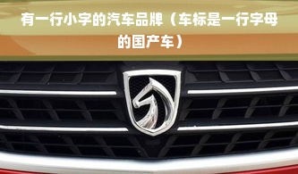 有一行小字的汽车品牌（车标是一行字母的国产车）