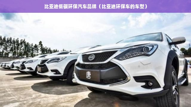比亚迪低碳环保汽车品牌（比亚迪环保车的车型）