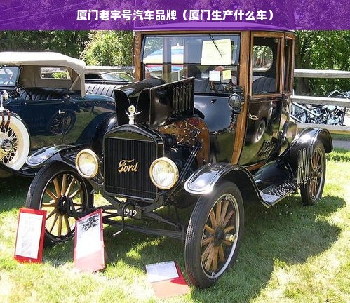 厦门老字号汽车品牌（厦门生产什么车）