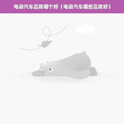 电动汽车品牌哪个好（电动汽车哪些品牌好）